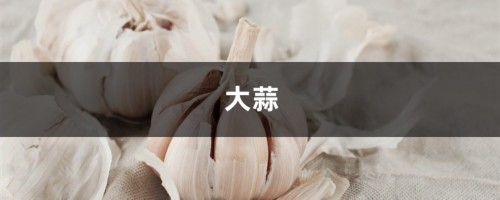 几粒大蒜埋土里，虫子蚂蚁全部死光光，1个不留！